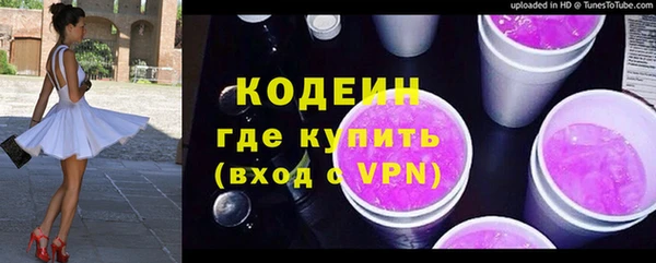 шишки Осташков