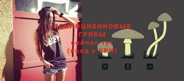 ECSTASY Остров