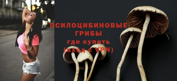 шишки Осташков