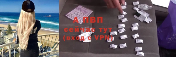 шишки Осташков