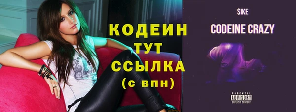 шишки Осташков