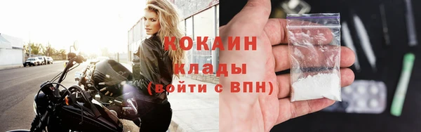 шишки Осташков