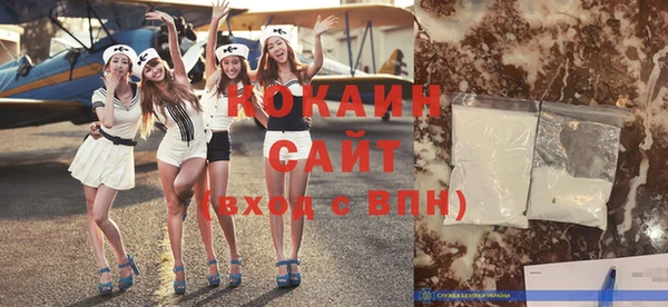 шишки Осташков