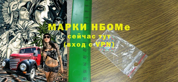 шишки Осташков