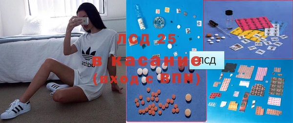 шишки Осташков