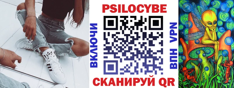 закладки  Сергач  Галлюциногенные грибы Cubensis 
